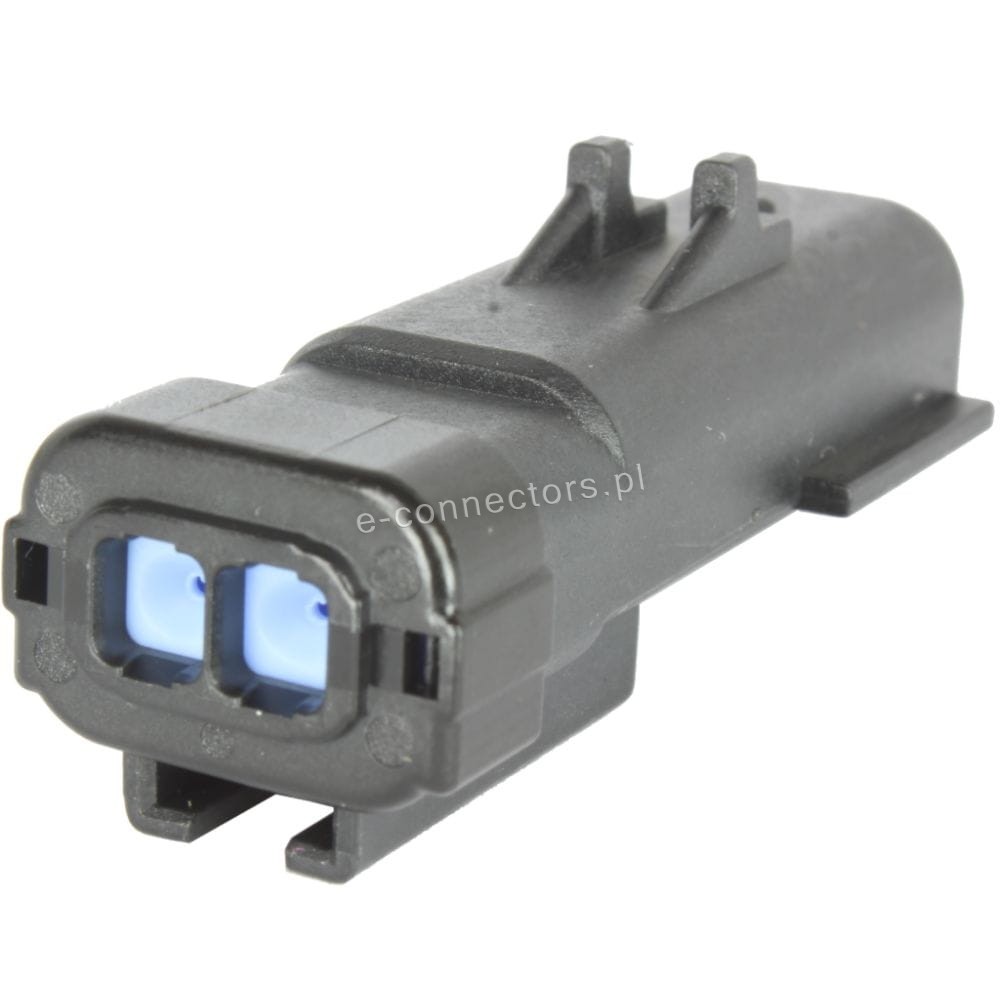 54200204
