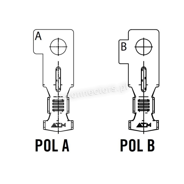POL B oraz POL A 1609340.JPG