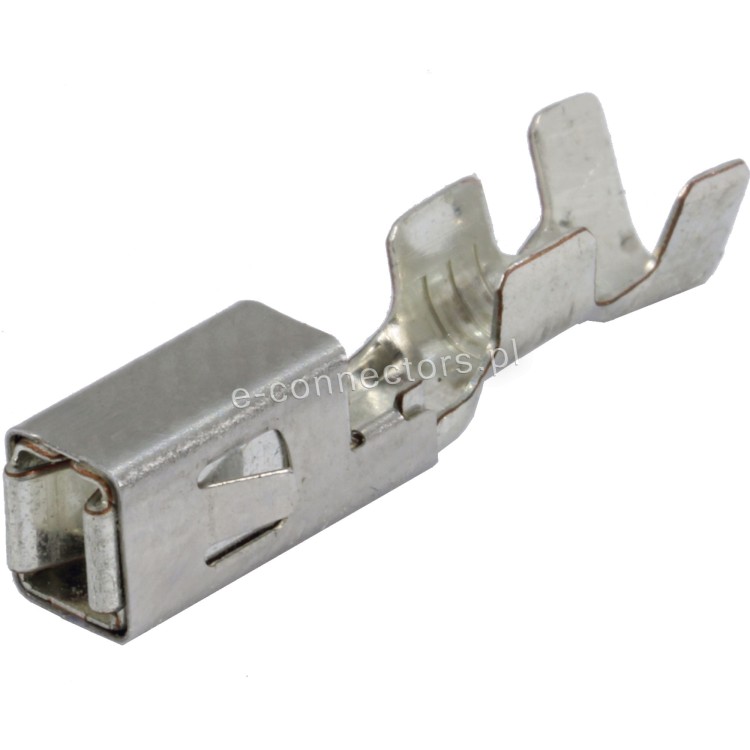 1708331.jpg