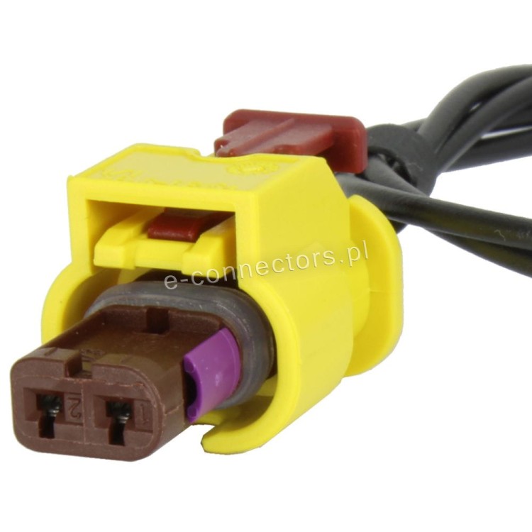 Wiązka 5K0973323.JPG