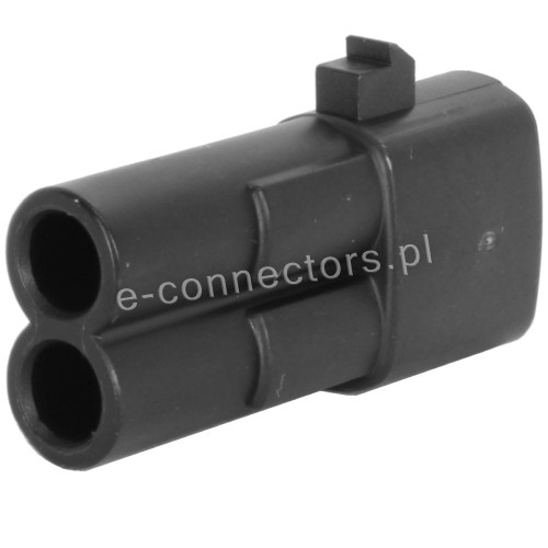 Gniazdo wtrysku Renault.JPG