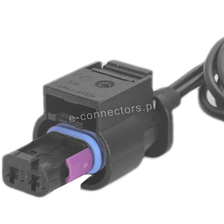 Wiązka 4H0973702.JPG