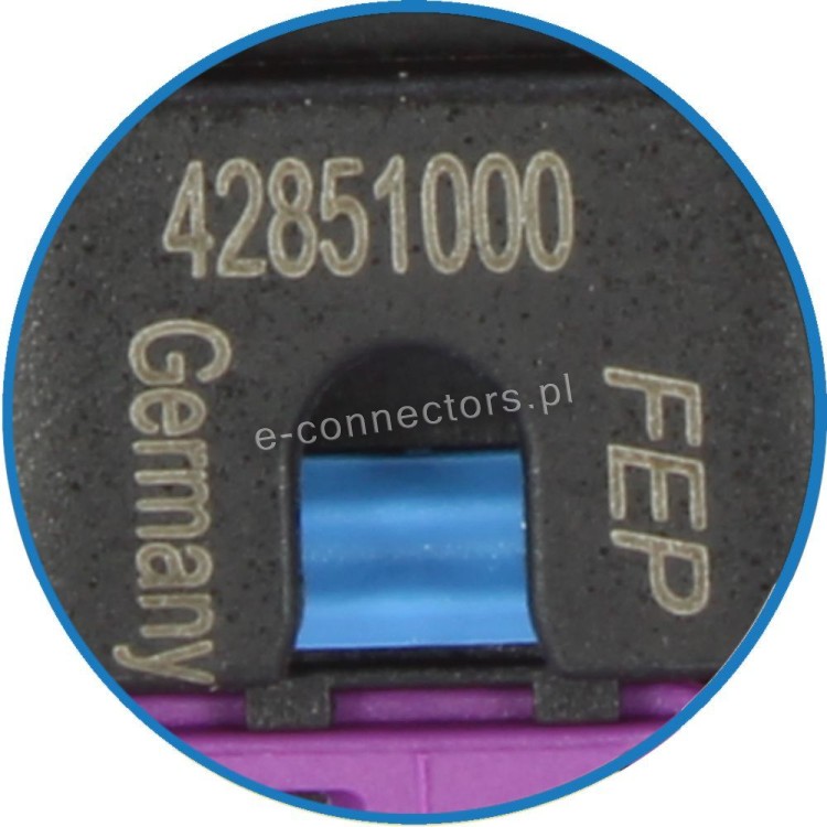 42851000.JPG