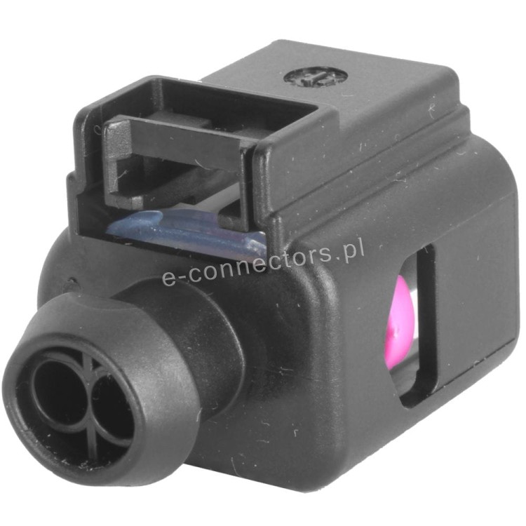 Wyczka 8K0973702.JPG