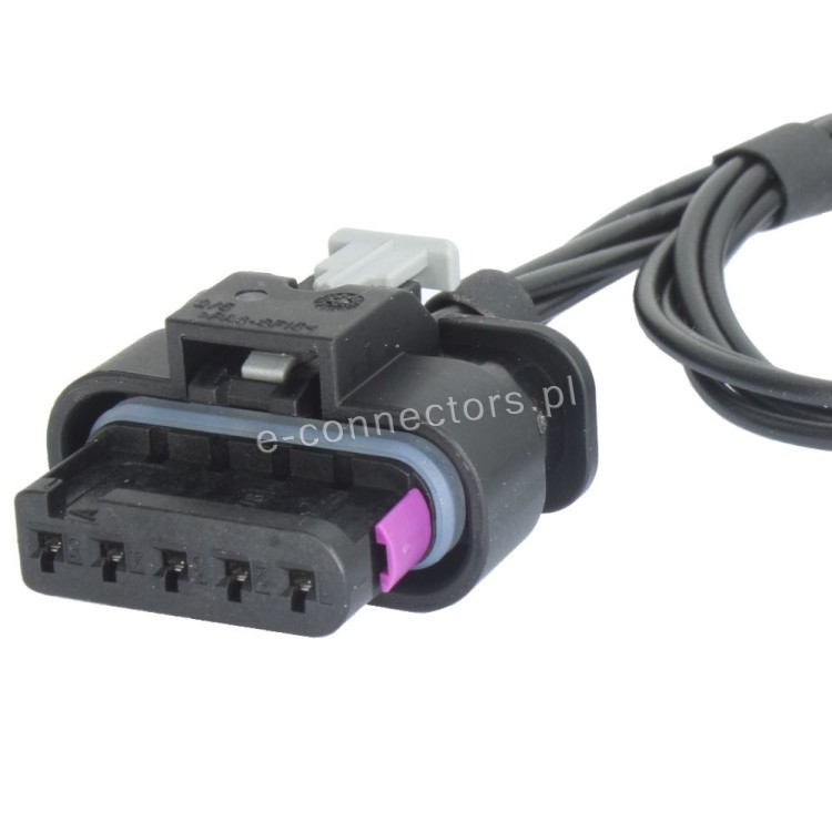 Wiązka 4F0973705.JPG