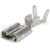43127400.JPG