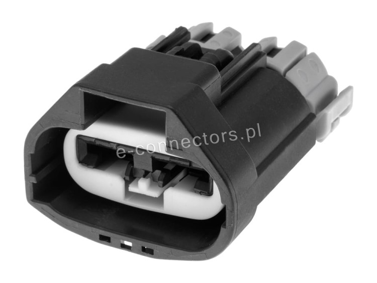 Wtyczka 2 pin