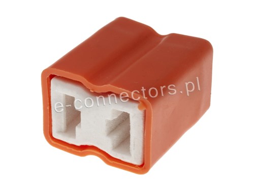 Wtyczka 2 pin