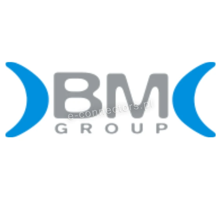 BM GROUP.jpg