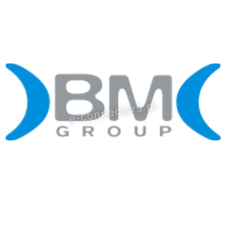 BM GROUP.jpg
