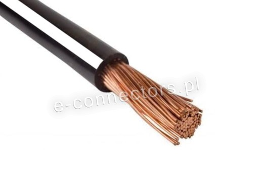 Przewó czarno-biały.jpg