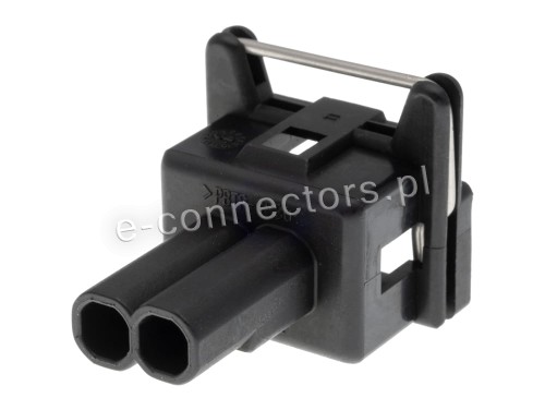 Wtyczka 2 pin