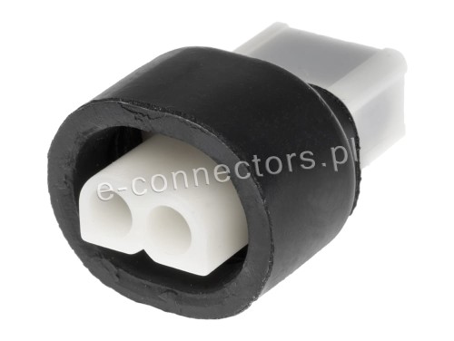 Wtyczka 2 pin
