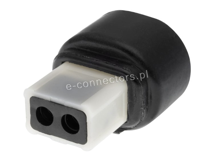 Wtyczka 2 pin