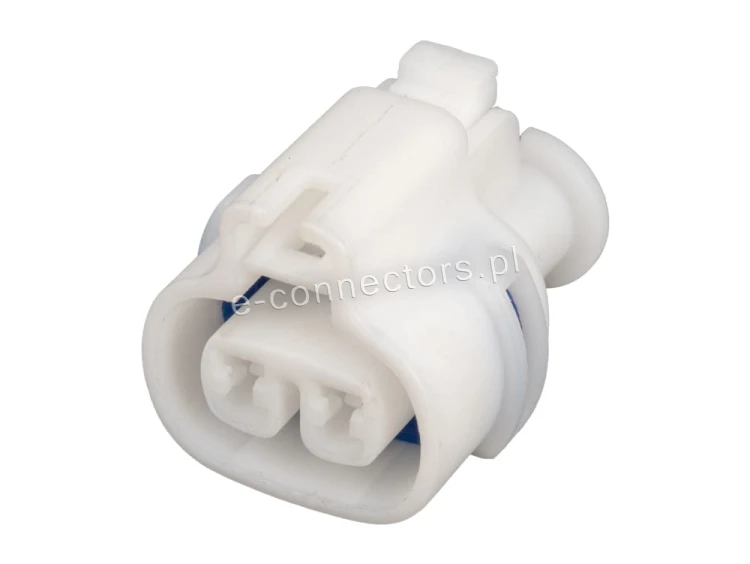 Wtyczka 2 pin