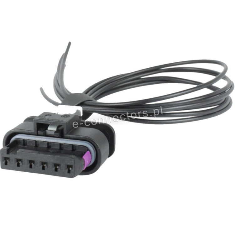 Wiązka 4F0973706.jpg