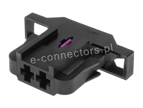 Wtyczka 2 pin