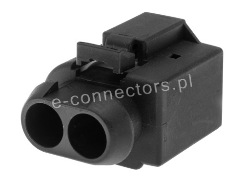 Wtyczka 2 pin