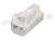 Wtyczka 2 pin