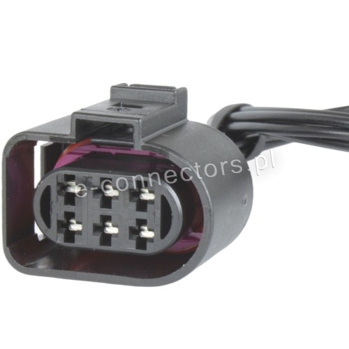 Wiązka 1J0973733.jpg