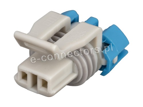 Wtyczka 2 pin