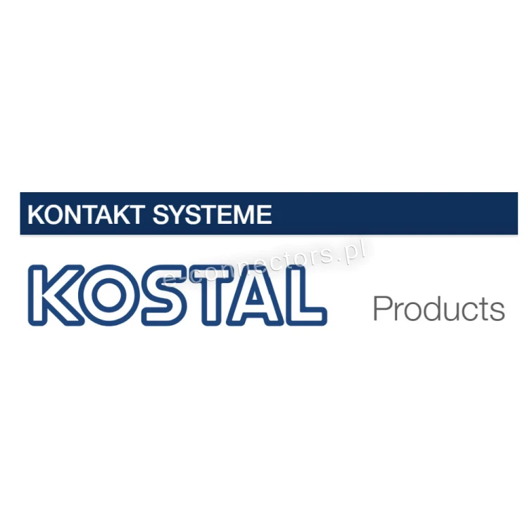 Kostal.jpg