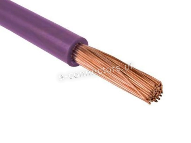 FLRY-B fioletowy.jpg