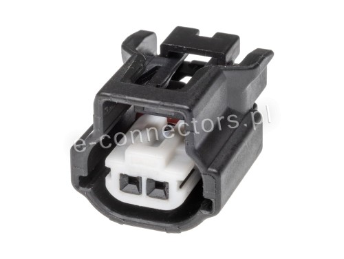 Wtyczka 2-pin 6189-7523 6918-3271