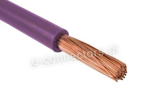 FLRY-B fioletowy.jpg