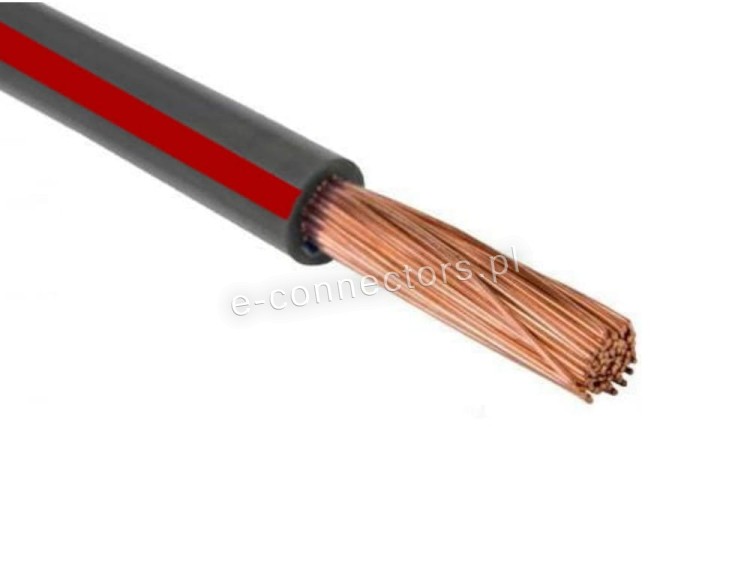 FLRY-B szaro-czerwony.jpg