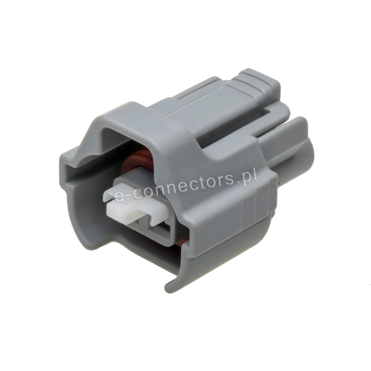 Wtyczka wtryskiwacza