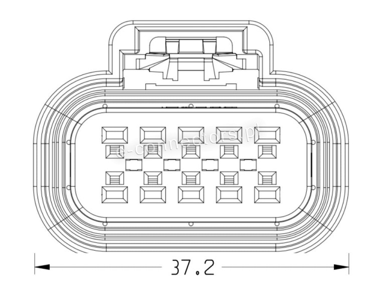rysunek 15326842.JPG