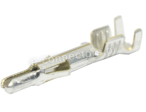 02082004 02082003.JPG