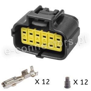 Wtyczka econoseal 12-pin