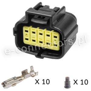 Wtyczka econoseal 10-pin