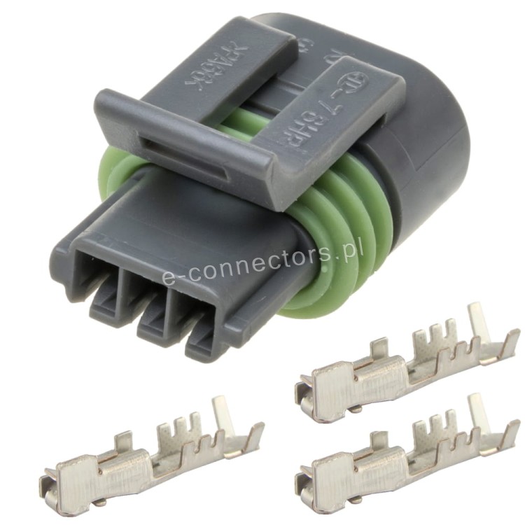 12162280.jpg