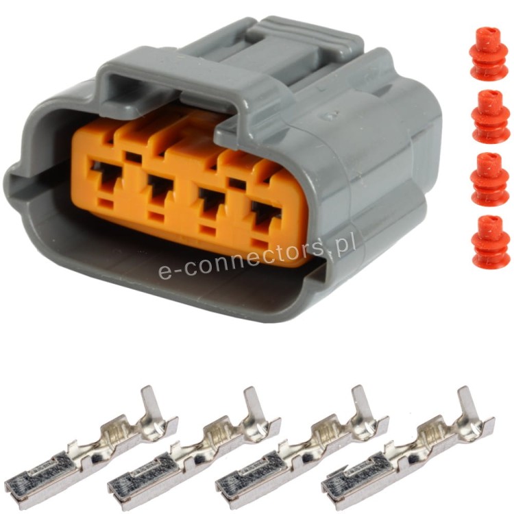 6195-0030.JPG