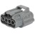 PB427-04125.JPG