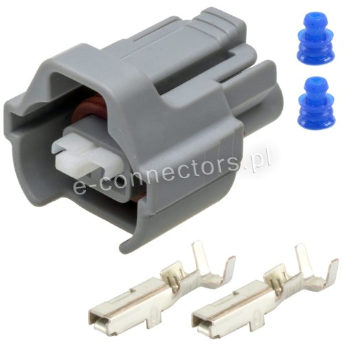 Wtyczka wtryskiwaczy.JPG