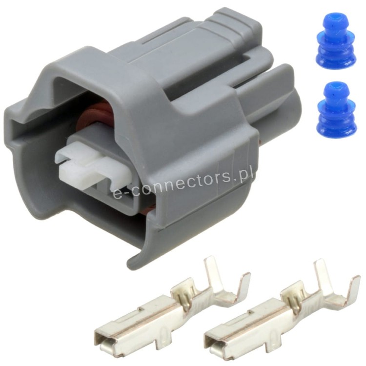 Wtyczka wtryskiwaczy.JPG