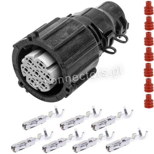 Wtyczka 18369.062.000.jpg