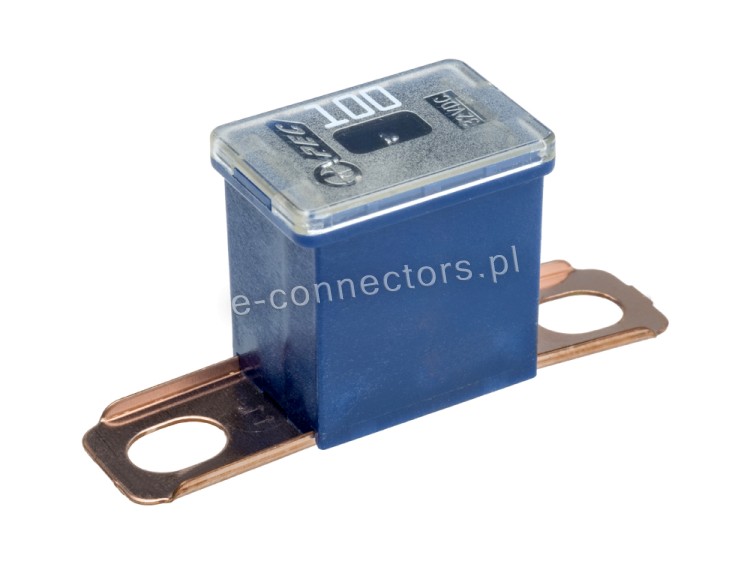 Bezpiecznik kostkowy JAPVAL male 48 100A.jpg